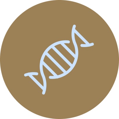 Understanding FAIR Data in Life Sciences: In the Life Sciences domain, a typical dataset consists of three key layers